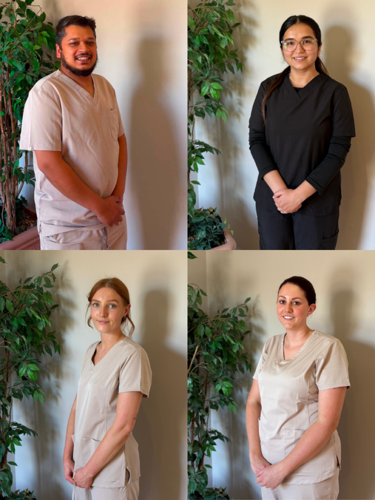 Meet the Team (3)